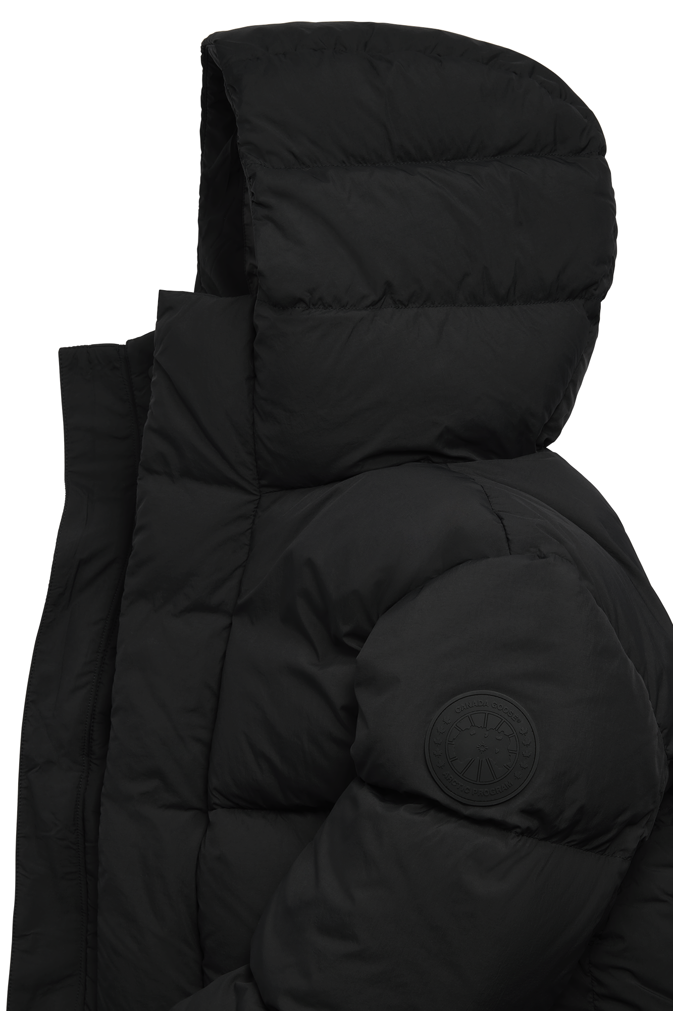 Everett Hooded Puffer - Black