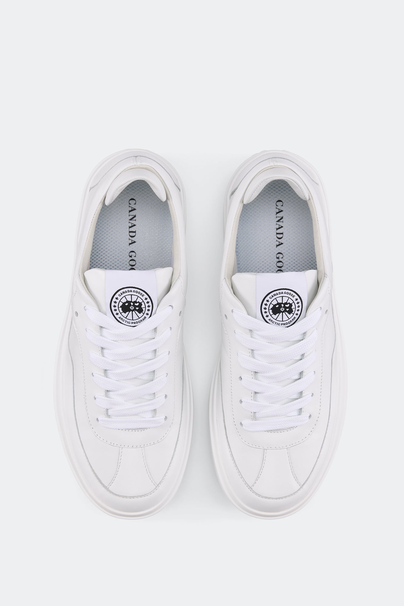 Women's Ossington Sneaker - White