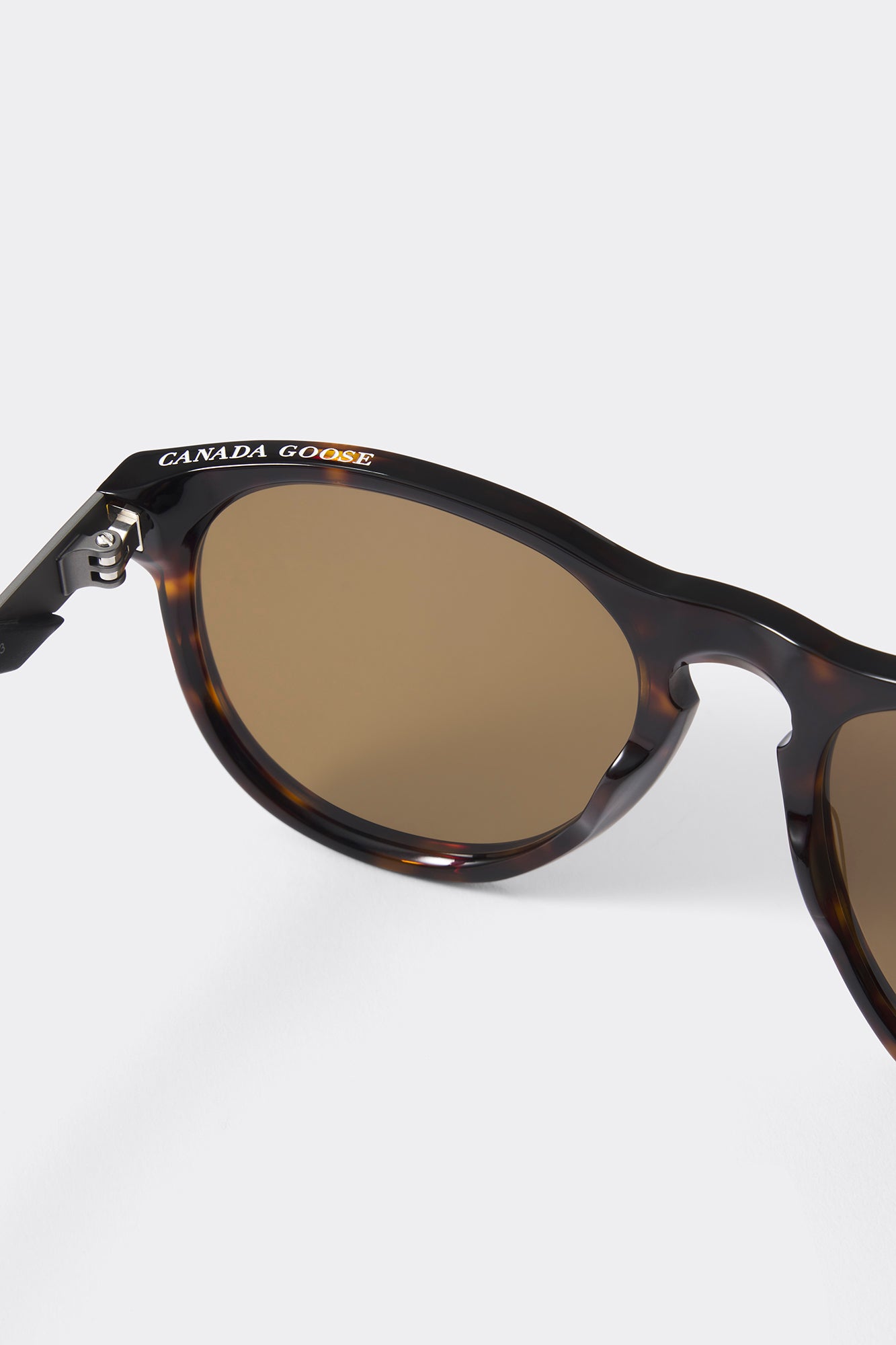 Skye Sunglasses (Men) - Dark Havana/Brown - Image 4