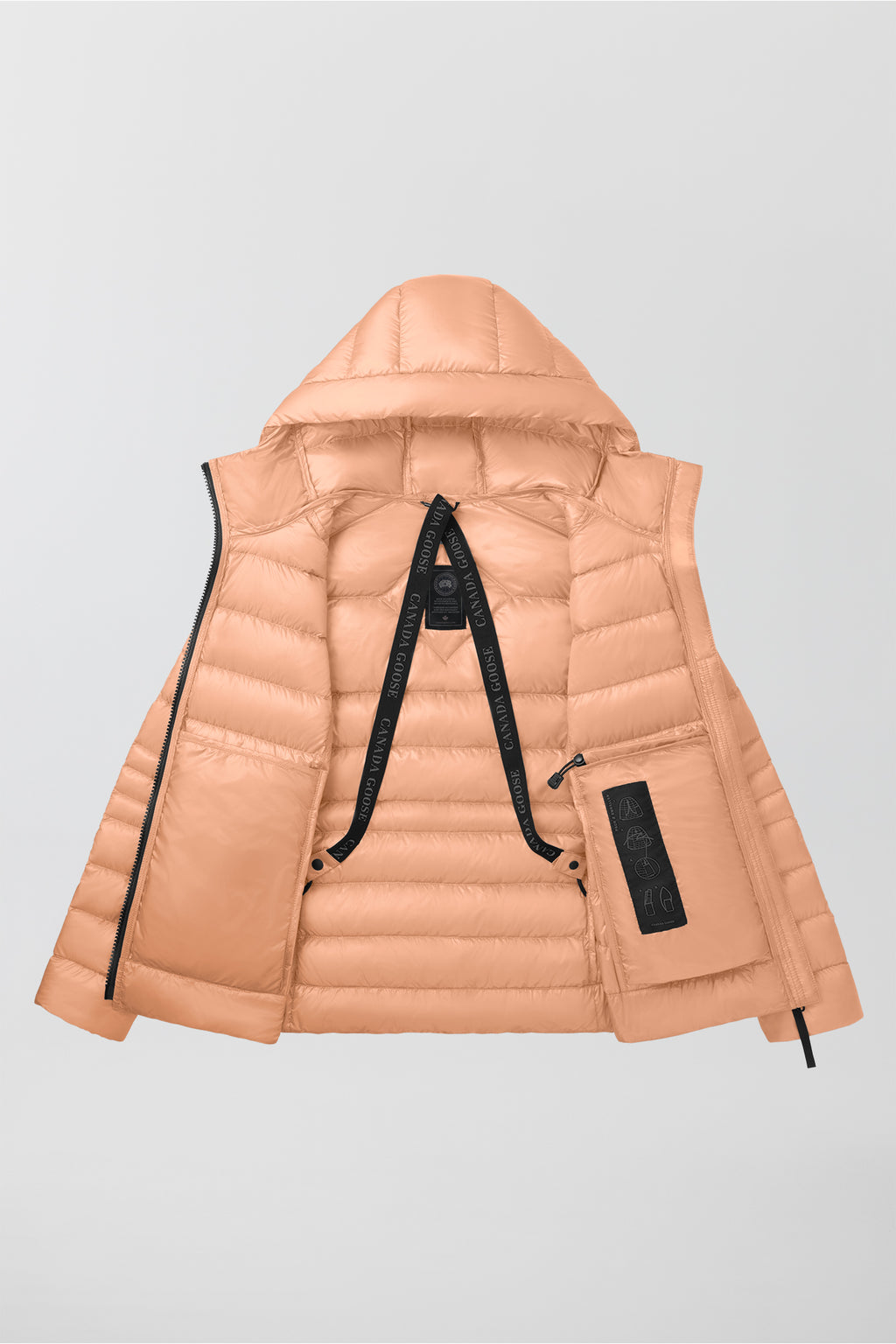 Cypress Hoodie Black Label - Daylily - Image 8