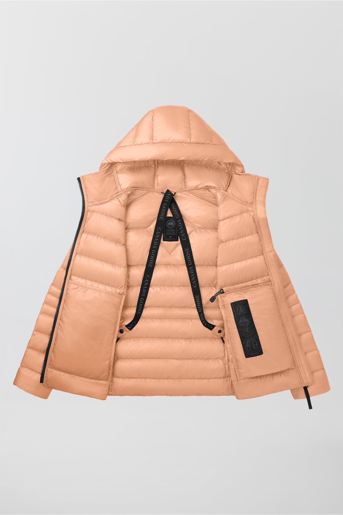 Cypress Hoodie Black Label - Daylily - Image 8