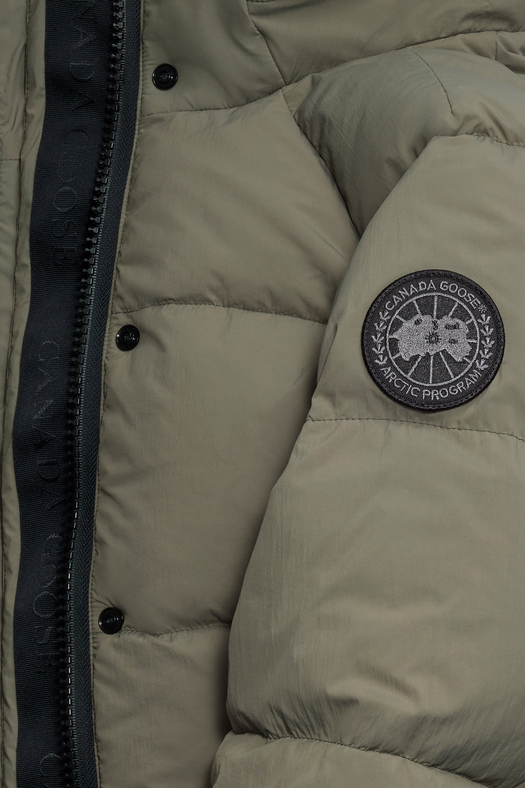 Junction Parka Black Label (Women) - Smokey Sage