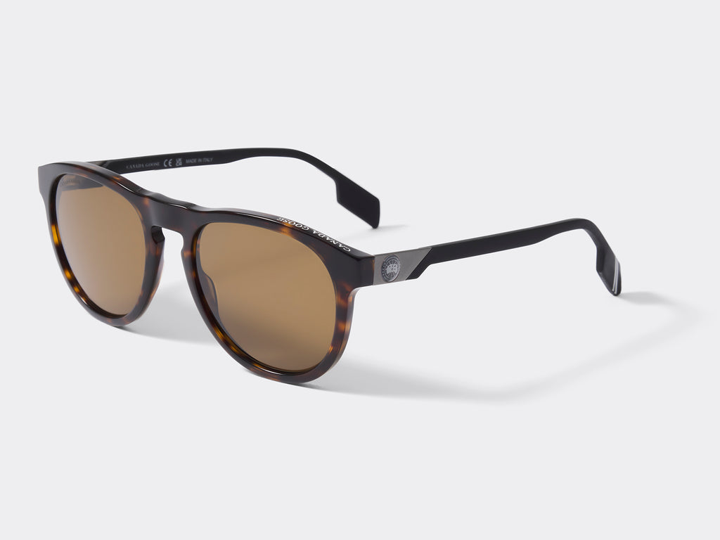 Skye Sunglasses (Men) - Dark Havana/Brown